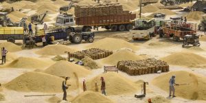 India Bans Some Rice Exports. What That Means for Global Prices.