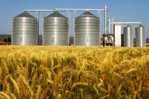 First big grain ship leaves Ukraine’s Black Sea port