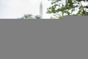 Netflix reworks Microsoft pact, lowers ad prices – WSJ