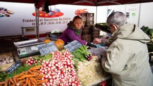 Falling French inflation feeds hopes of halt to ECB interest rate rises