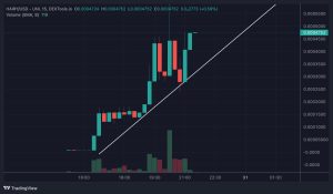 After BALD Price Erupts, Base Devs Also Rumored to be Behind HAIRY Coin, Up 8,000% in 4 Hours