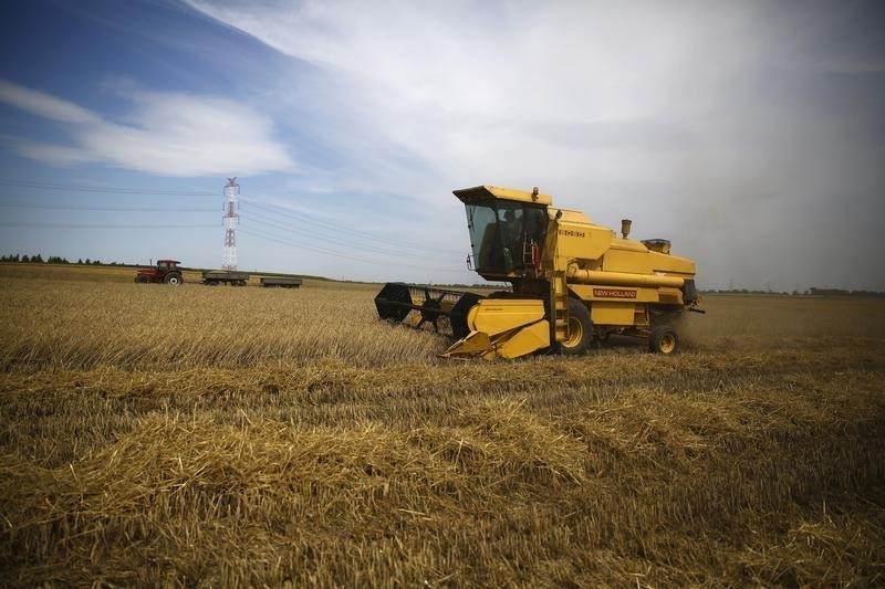 Analysis-High pasta prices set to boil over as Canada’s wheat withers