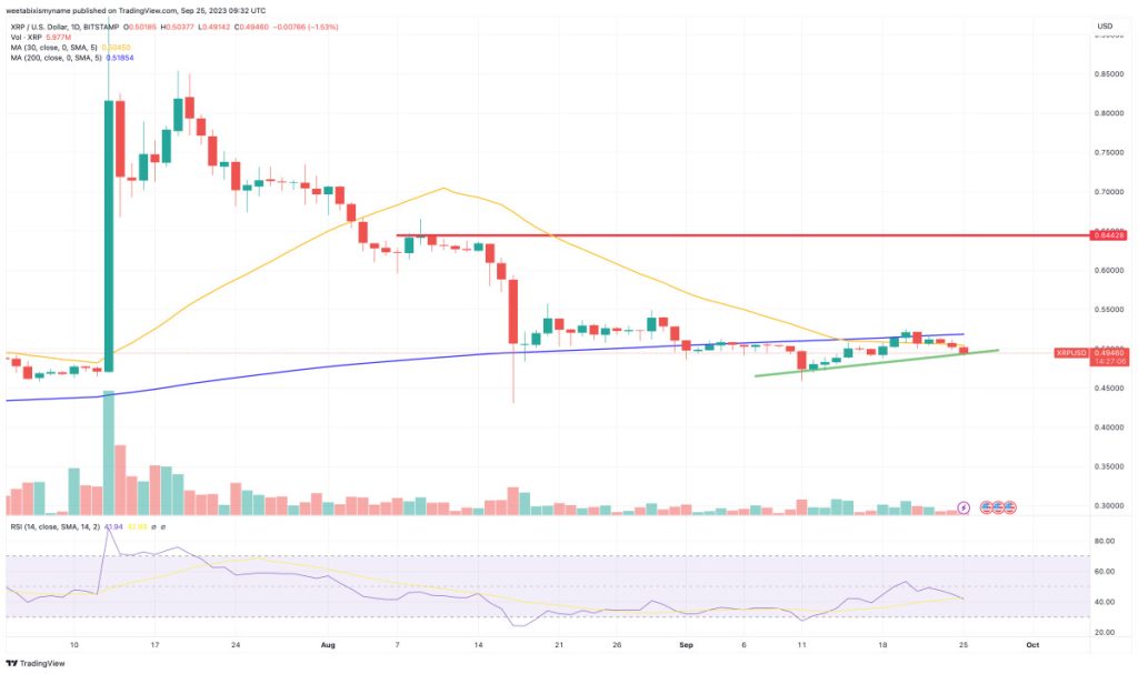 Will XRP See a 30% Surge Next Month?