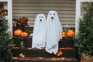 Spirit Is Anything But Spooky (NYSE:SRC)