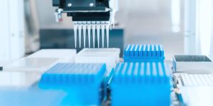 Sarepta Stock Sinks 43% on Uncertain Future for Its Gene Therapy