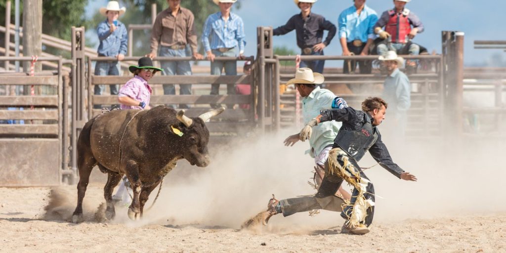 Are investors walking into a monster bull trap? Watch for these signals, says portfolio manager.