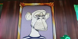 ApeFest host confirms 15 people suffered eye pain and vision issues after Bored Ape NFT event