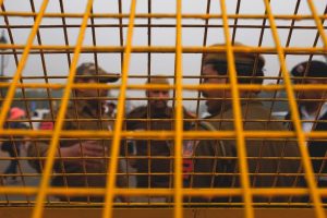 8 Arrested in India in Connection with $300 Million Crypto Fraud