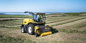 3 Stock Bargains From Europe. Yes, Europe.