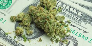 Curaleaf and Canopy Growth miss third-quarter analyst marks while Green Thumb, Ascend Wellness, TerrAscend and Trulieve beat forecasts