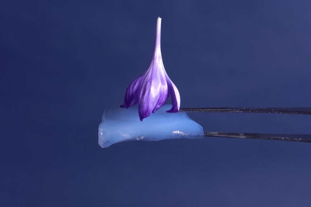 Aspen Aerogels: Phoenix Rising – Assessing Shifts, Challenges, Potential Future Triumphs