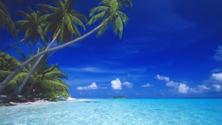 Trump family and Saudi partner unveil tokenised Maldives resort